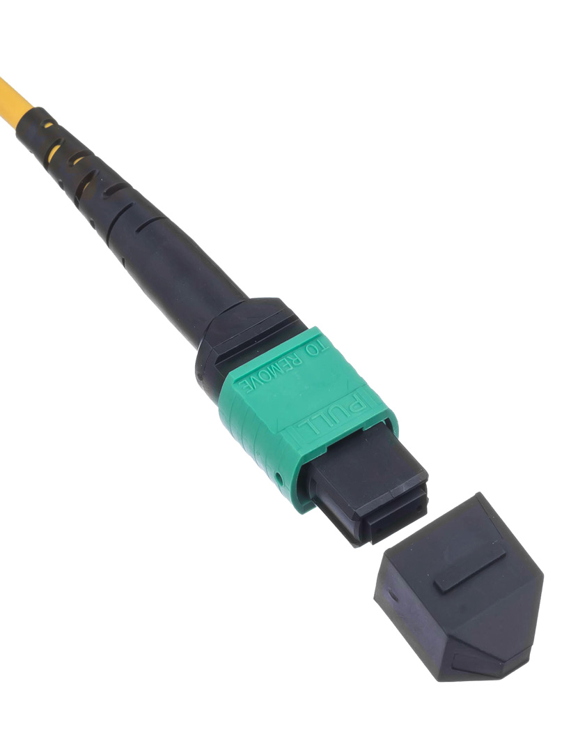 MTP/MPO Trunk Cable Assembly for Bone Cabling Solution